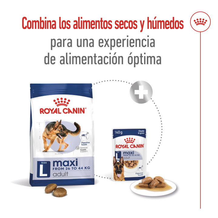 Royal Canin Maxi Adult Pienso para perros - Kompymascotas