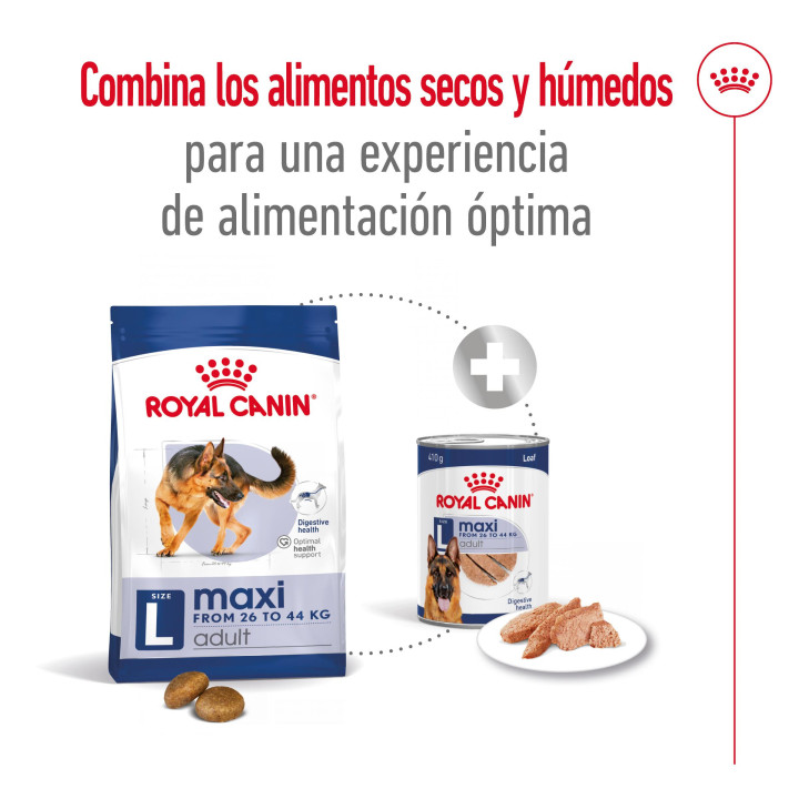 Royal Canin Maxi Adult Pienso para perros - Kompymascotas