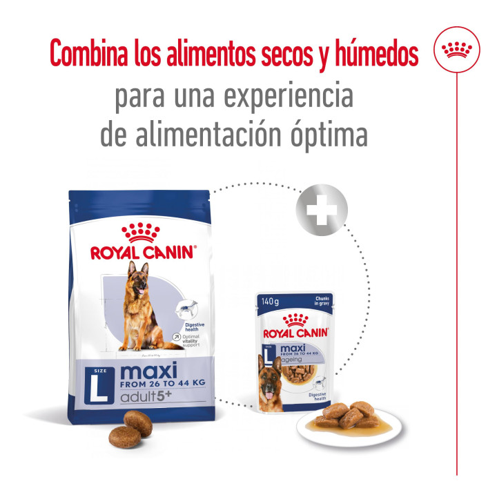 Royal Canin Maxi Adult 5+ Pienso para perros - Kompymascotas