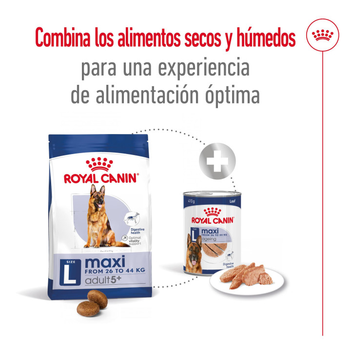 Royal Canin Maxi Adult 5+ Pienso para perros - Kompymascotas