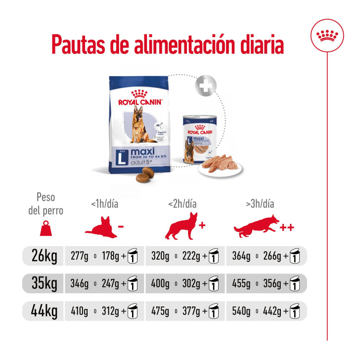 Royal Canin Maxi Adult 5+ Pienso para perros - Kompymascotas