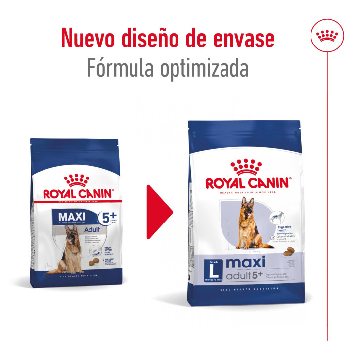 Royal Canin Maxi Adult 5+ Pienso para perros - Kompymascotas