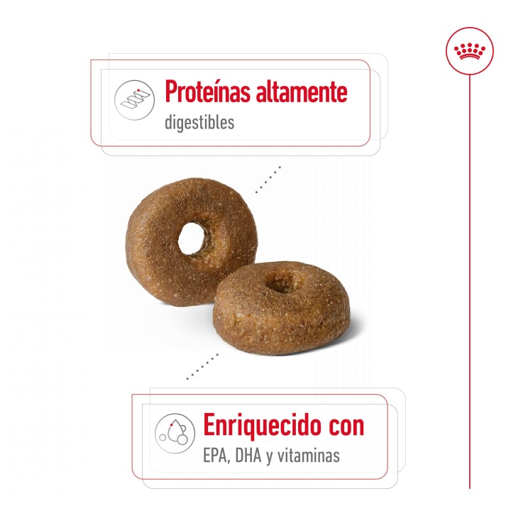 Royal Canin Maxi Ageing 8+ Pienso para perros - Kompymascotas