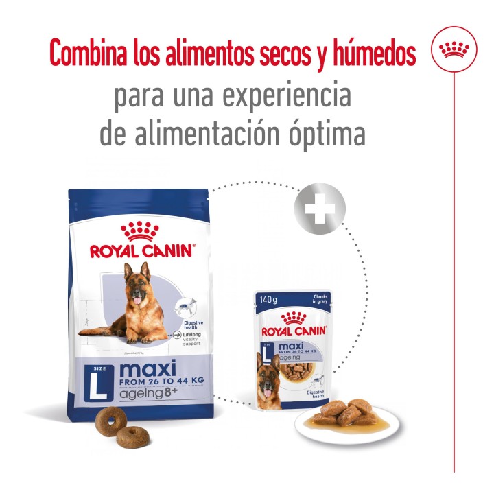 Royal Canin Maxi Ageing 8+ Pienso para perros - Kompymascotas