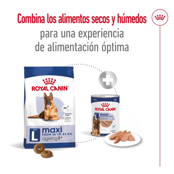 Royal Canin Maxi Ageing 8+ Pienso para perros - Kompymascotas