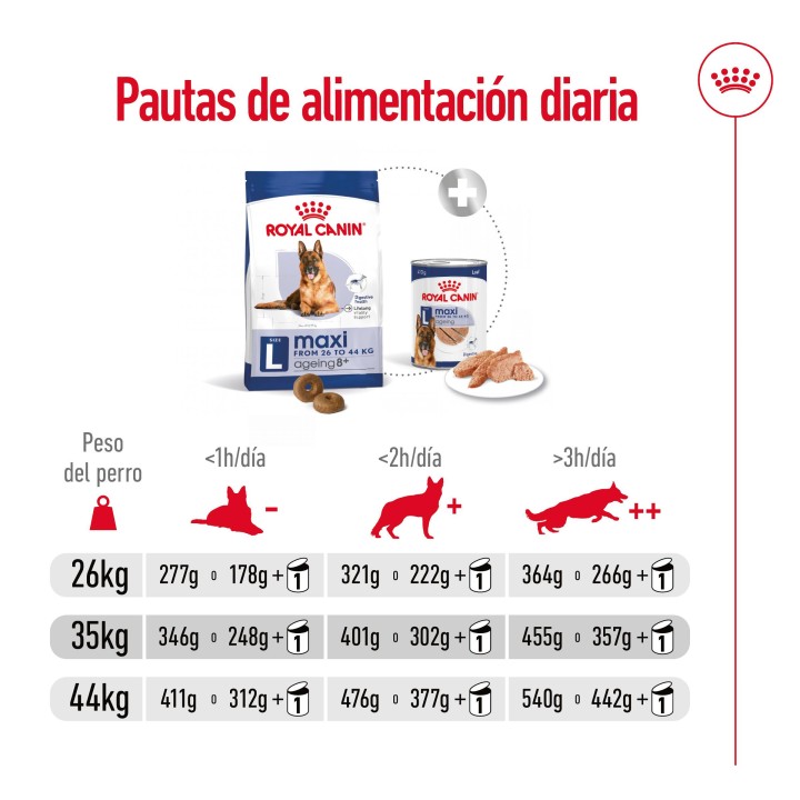 Royal Canin Maxi Ageing 8+ Pienso para perros - Kompymascotas