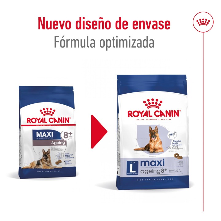 Royal Canin Maxi Ageing 8+ Pienso para perros - Kompymascotas
