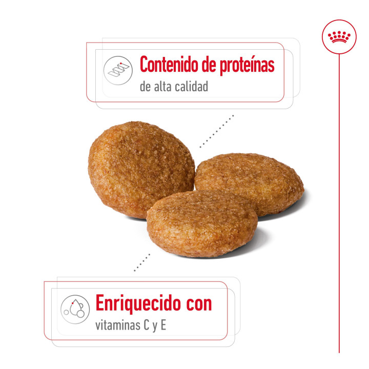 Royal Canin Medium Adult Pienso para perros - Kompymascotas