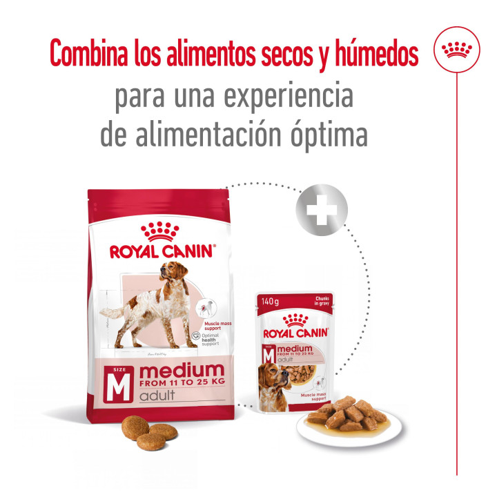 Royal Canin Medium Adult Pienso para perros - Kompymascotas