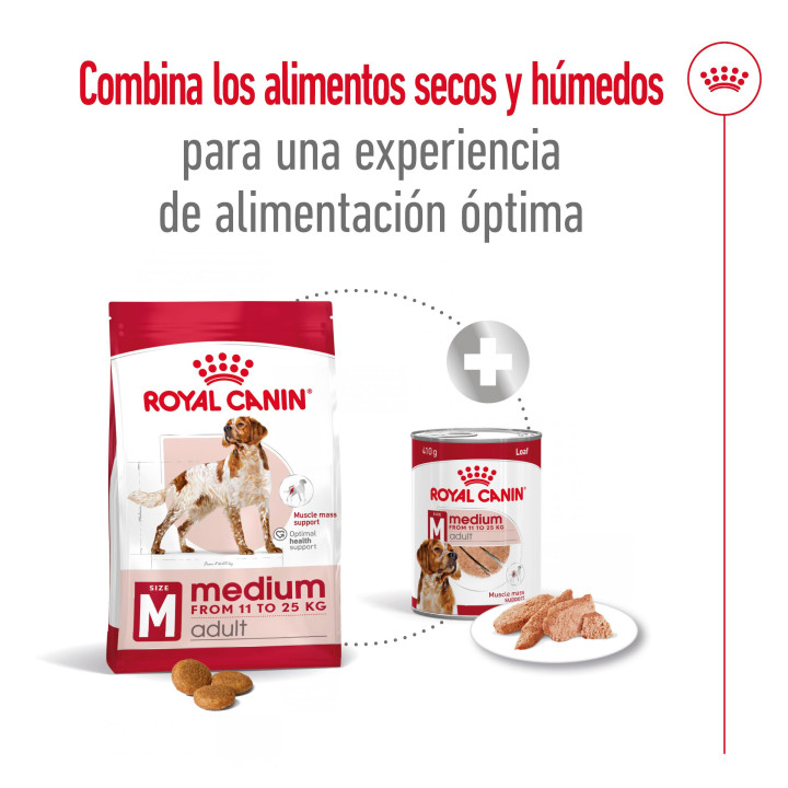 Royal Canin Medium Adult Pienso para perros - Kompymascotas