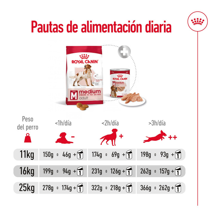 Royal Canin Medium Adult Pienso para perros - Kompymascotas