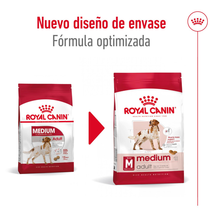 Royal Canin Medium Adult Pienso para perros - Kompymascotas