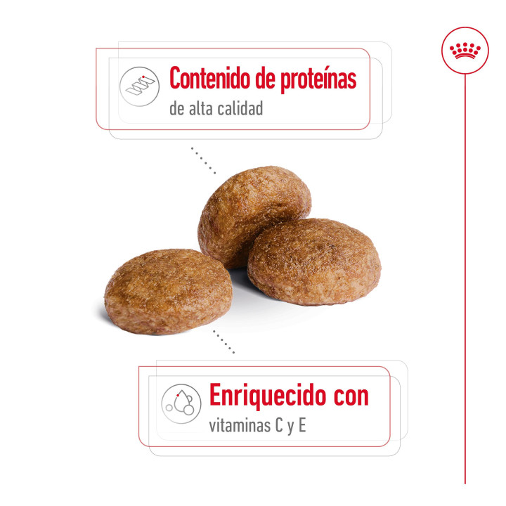 Royal Canin Medium Adult 7+ Pienso para perros - Kompymascotas