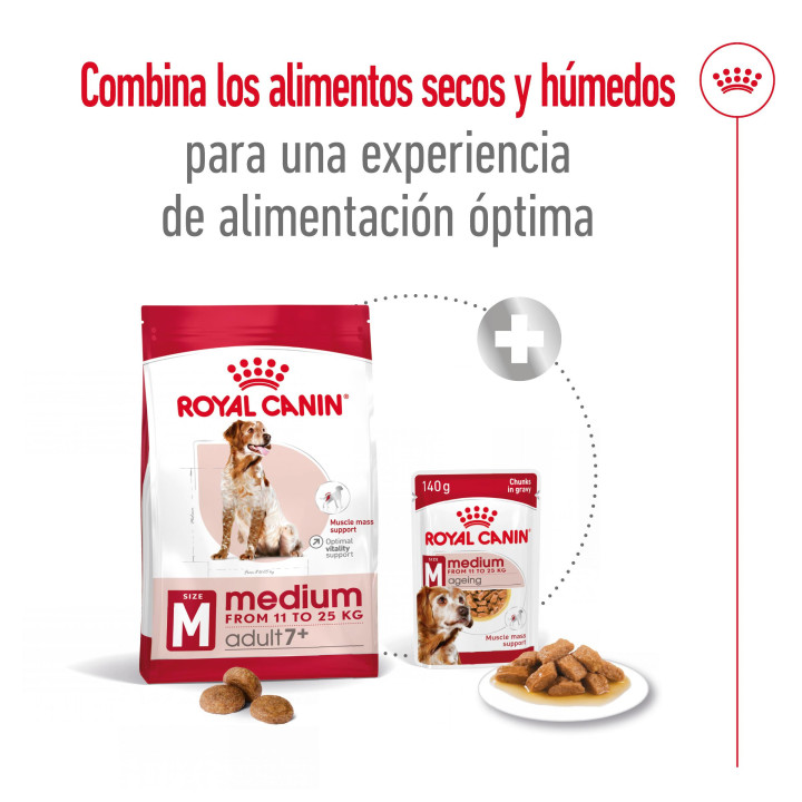 Royal Canin Medium Adult 7+ Pienso para perros - Kompymascotas