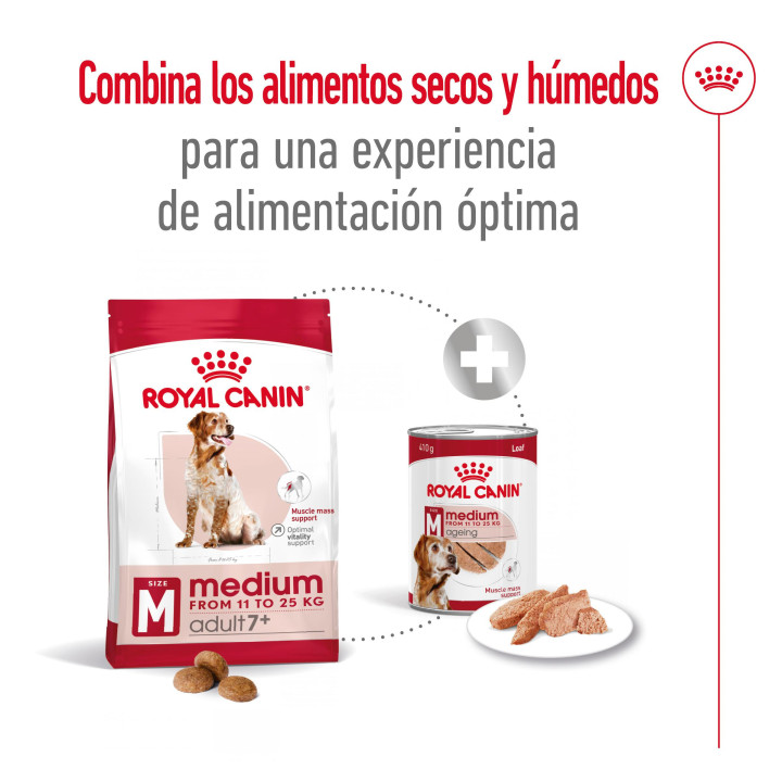 Royal Canin Medium Adult 7+ Pienso para perros - Kompymascotas