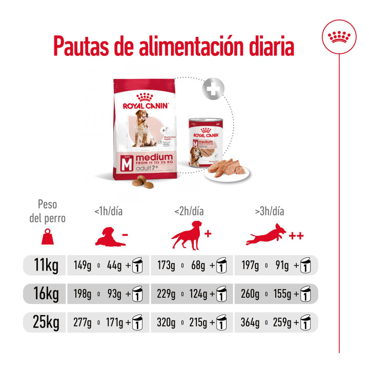 Royal Canin Medium Adult 7+ Pienso para perros - Kompymascotas