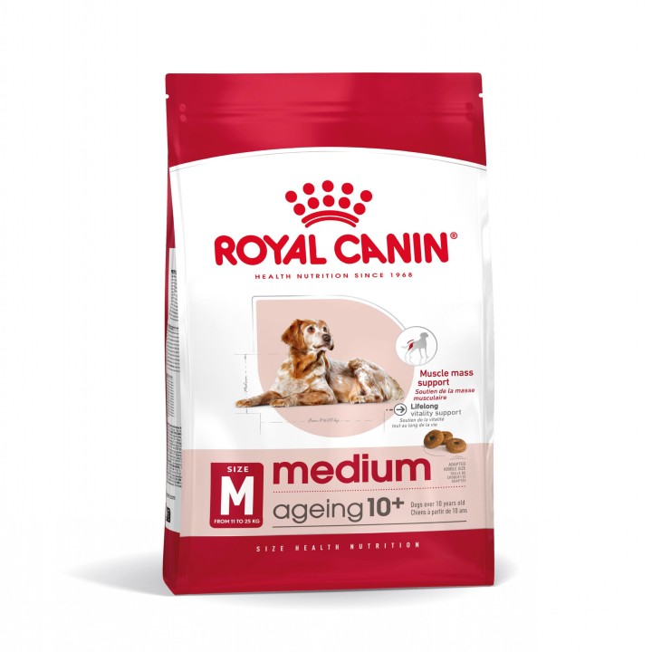 Royal Canin Medium Ageing 10+ Pienso para perros - Kompymascotas