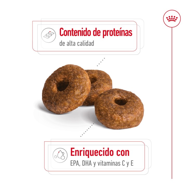 Royal Canin Medium Ageing 10+ Pienso para perros - Kompymascotas