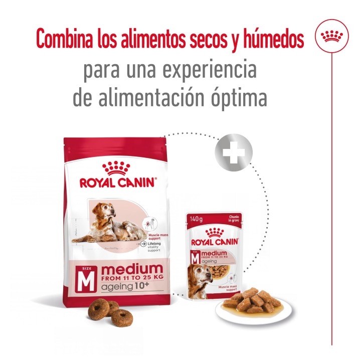 Royal Canin Medium Ageing 10+ Pienso para perros - Kompymascotas