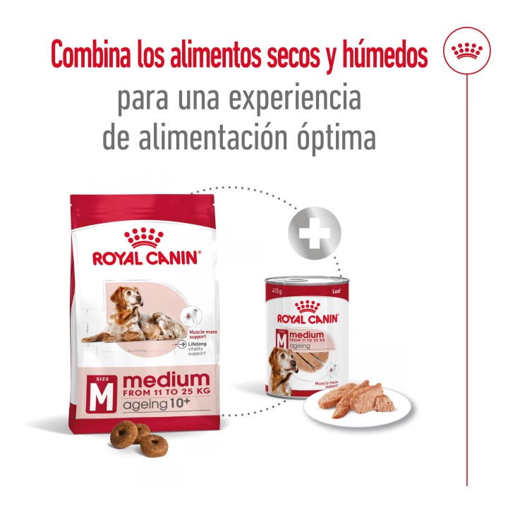 Royal Canin Medium Ageing 10+ Pienso para perros - Kompymascotas