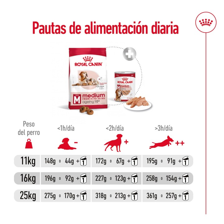 Royal Canin Medium Ageing 10+ Pienso para perros - Kompymascotas