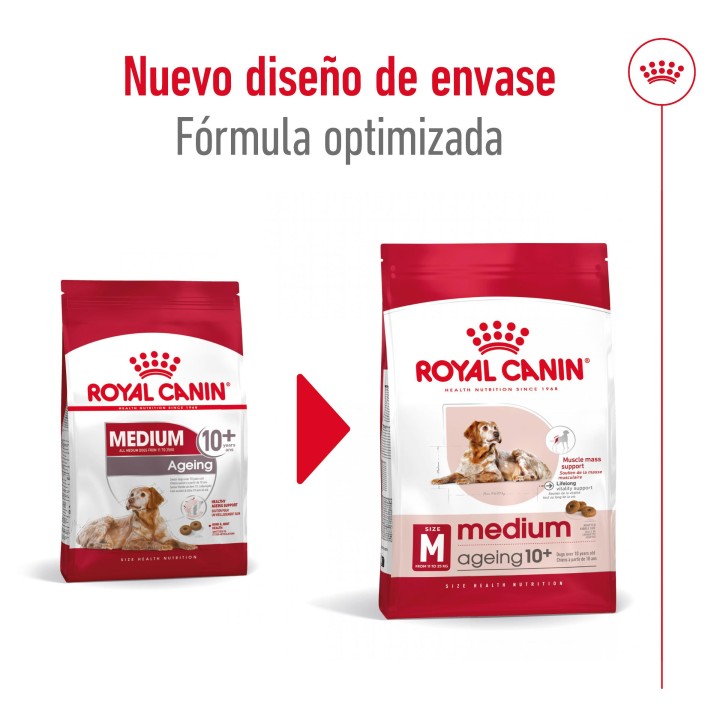 Royal Canin Medium Ageing 10+ Pienso para perros - Kompymascotas