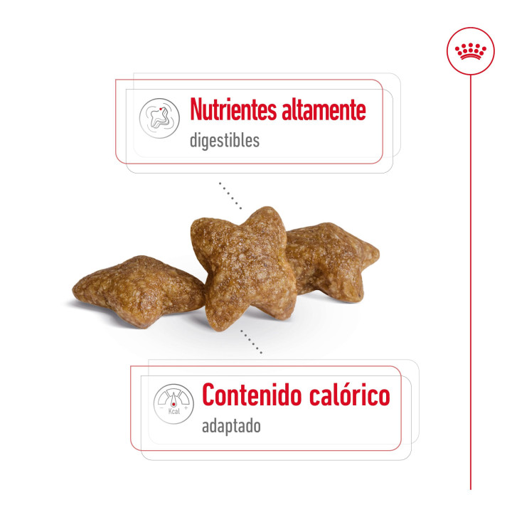 Royal Canin Mini Adult Pienso para perros - Kompymascotas
