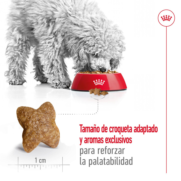 Royal Canin Mini Adult Pienso para perros - Kompymascotas