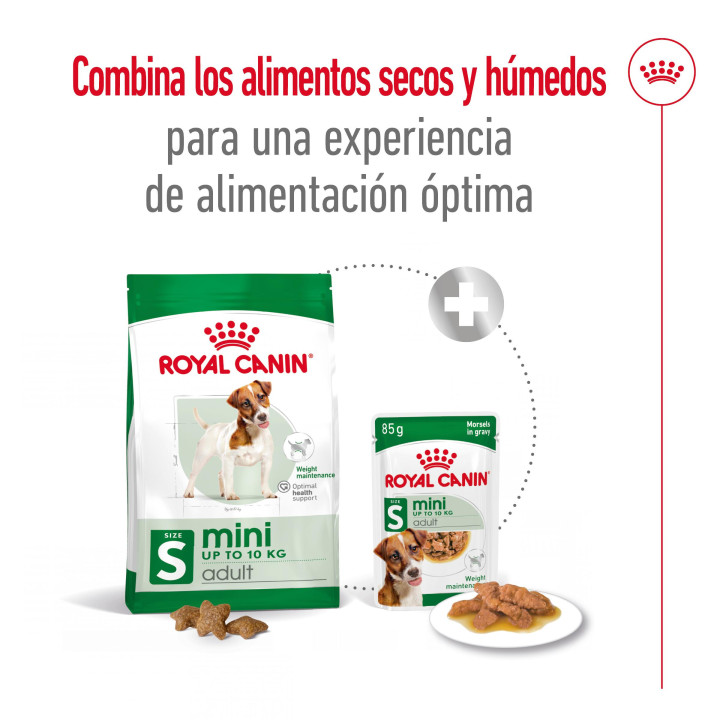 Royal Canin Mini Adult Pienso para perros - Kompymascotas