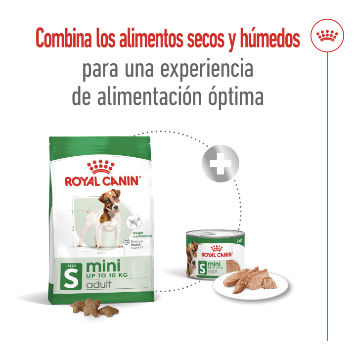 Royal Canin Mini Adult Pienso para perros - Kompymascotas
