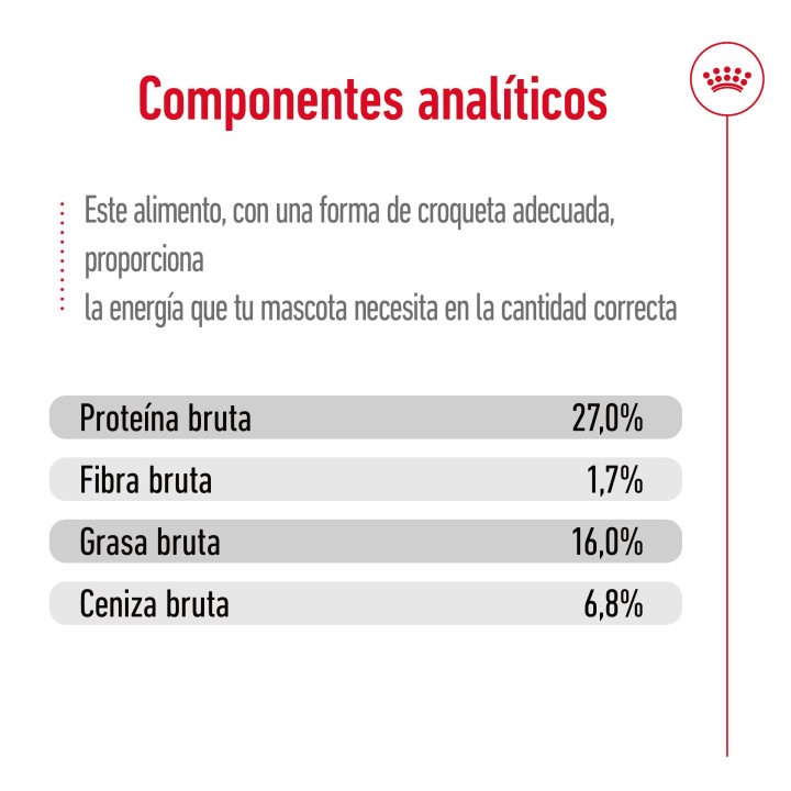 Royal Canin Mini Adult Pienso para perros - Kompymascotas