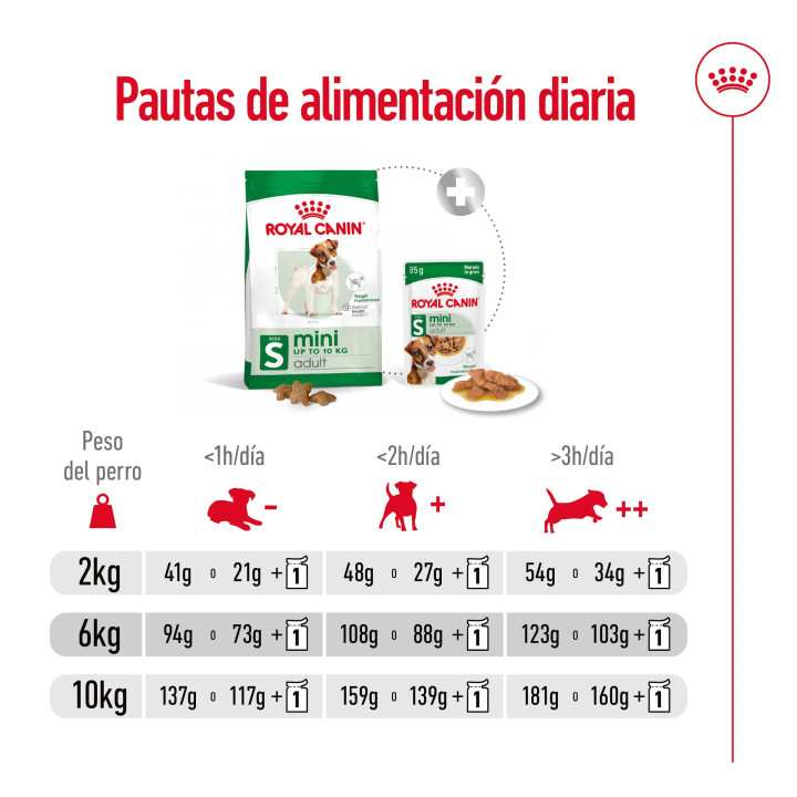 Royal Canin Mini Adult Pienso para perros - Kompymascotas