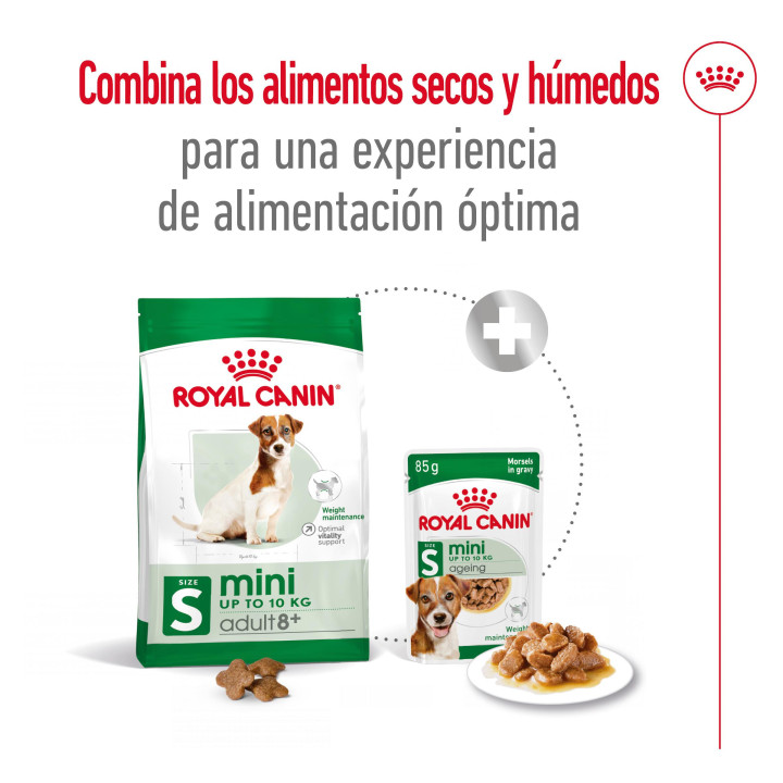 Royal Canin Mini Mature +8, pienso para perro - Kompymascotas