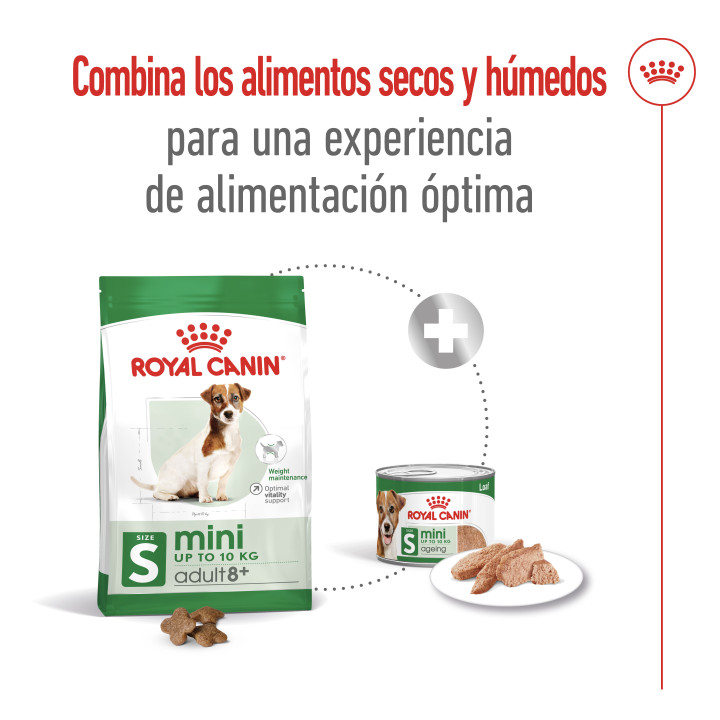 Royal Canin Mini Mature +8, pienso para perro - Kompymascotas
