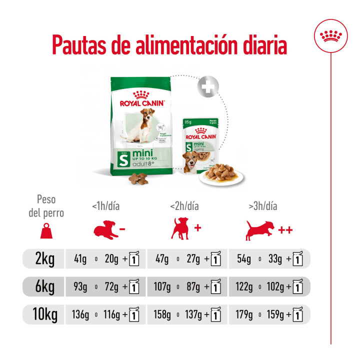 Royal Canin Mini Mature +8, pienso para perro - Kompymascotas