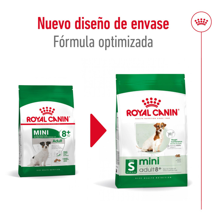 Royal Canin Mini Mature +8, pienso para perro - Kompymascotas