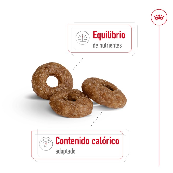 Royal Canin Mini Ageing +12 Pienso para perros - Kompymascotas