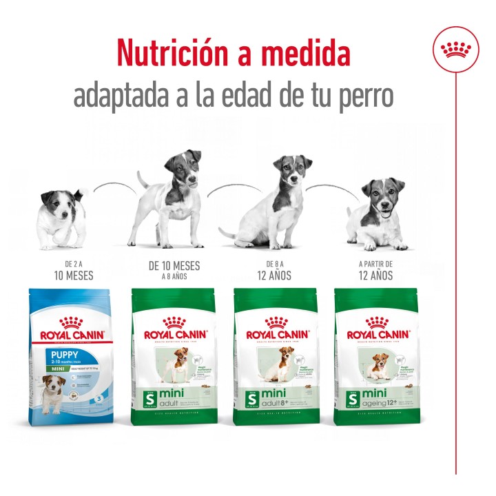Royal Canin Mini Ageing +12 Pienso para perros - Kompymascotas