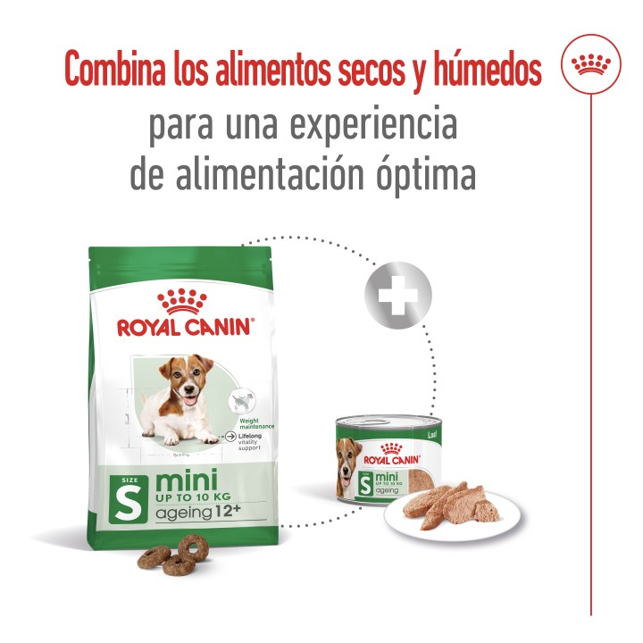 Royal Canin Mini Ageing +12 Pienso para perros - Kompymascotas