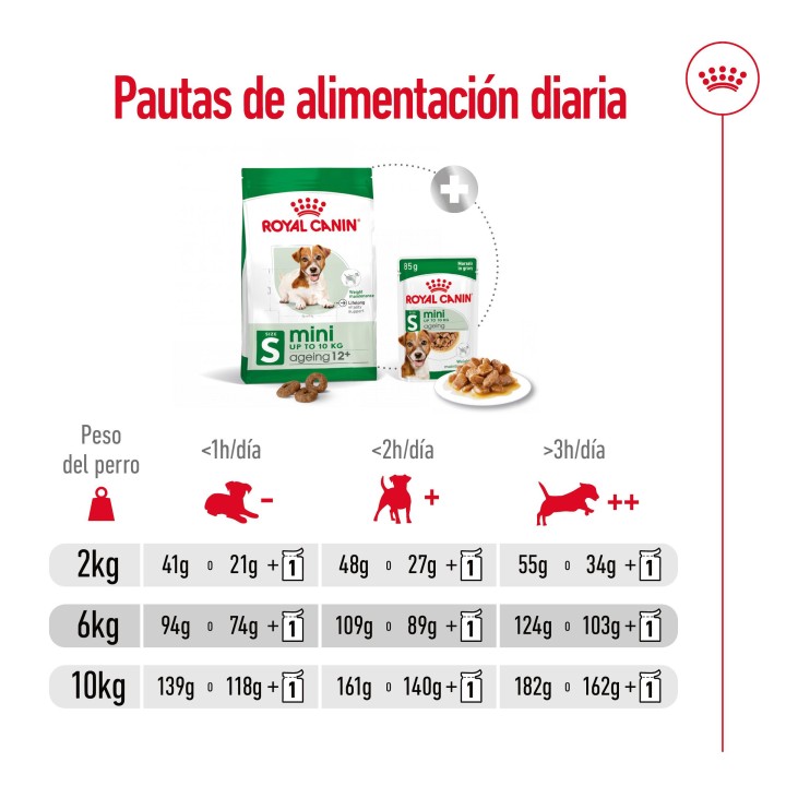 Royal Canin Mini Ageing +12 Pienso para perros - Kompymascotas