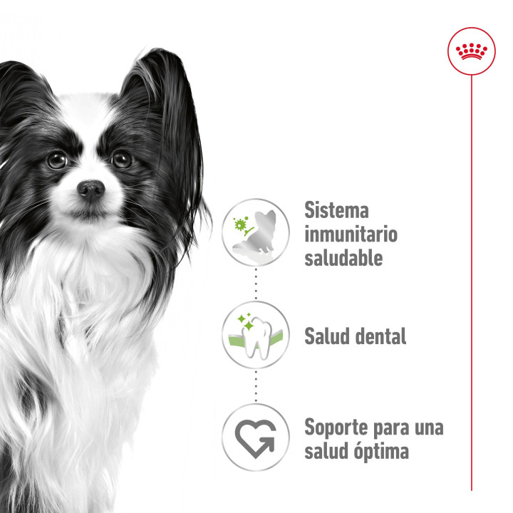 Royal Canin X-Small Adult Pienso para perros - Kompymascotas