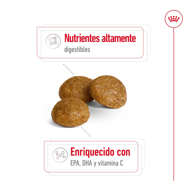 Royal Canin X-Small Adult Pienso para perros - Kompymascotas
