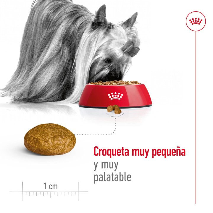 Royal Canin X-Small Adult Pienso para perros - Kompymascotas