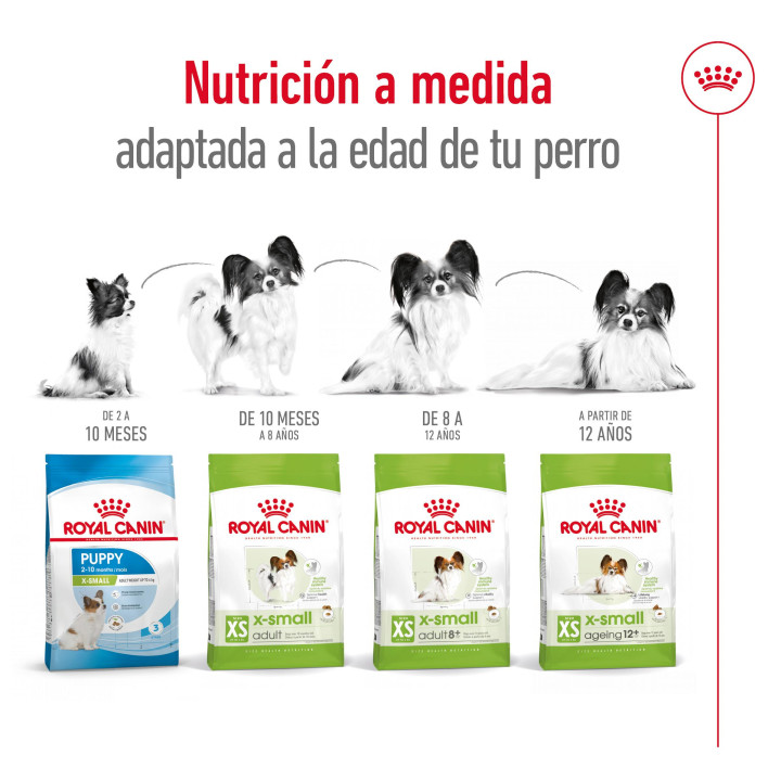 Royal Canin X-Small Adult Pienso para perros - Kompymascotas