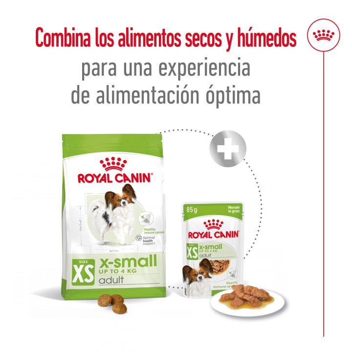 Royal Canin X-Small Adult Pienso para perros - Kompymascotas