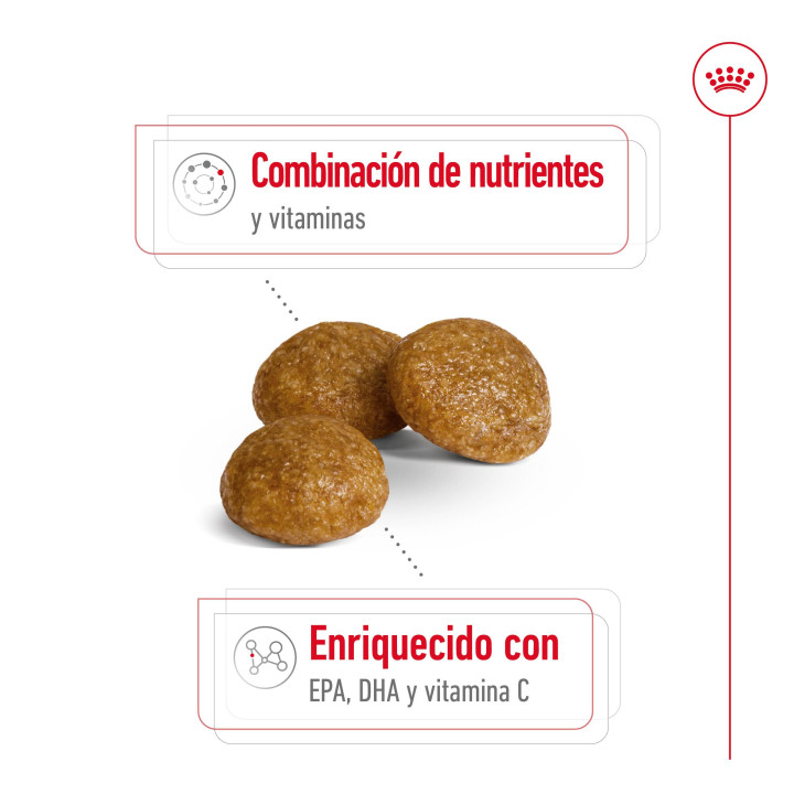 Royal Canin X-Small Adult +8 Pienso para perros - Kompymascotas