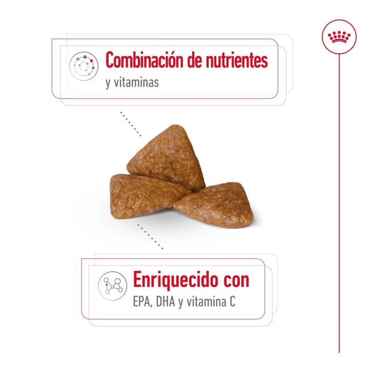 Royal Canin X-Small Ageing +12 Pienso para perros - Kompymascotas