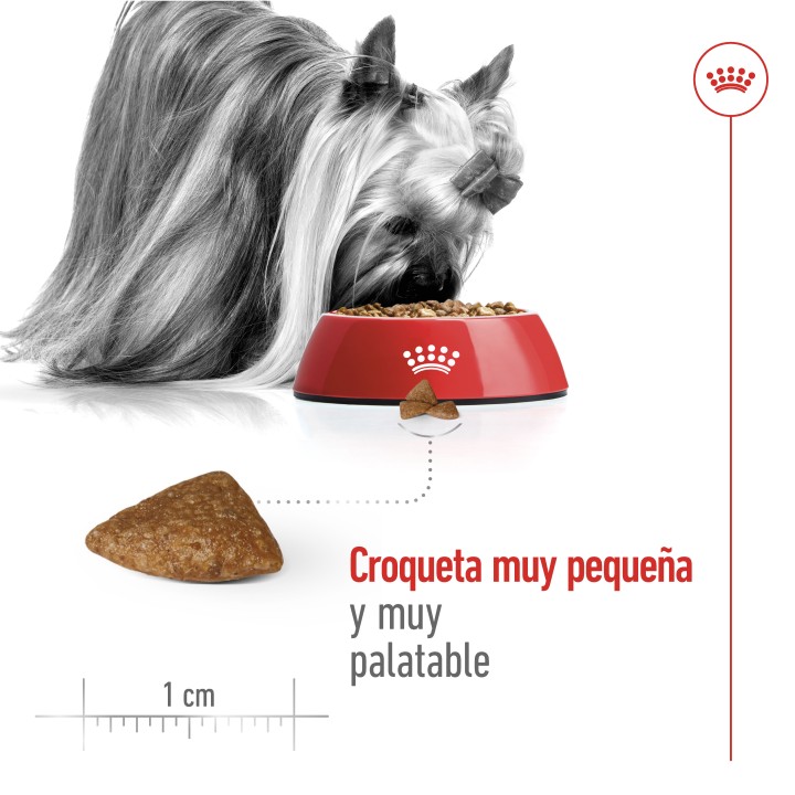 Royal Canin X-Small Ageing +12 Pienso para perros - Kompymascotas