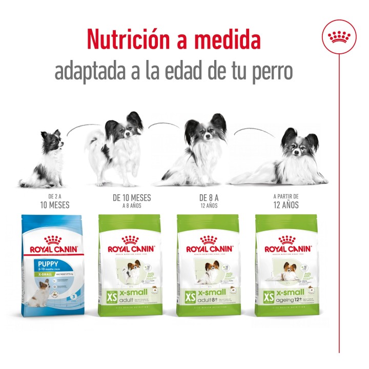 Royal Canin X-Small Ageing +12 Pienso para perros - Kompymascotas