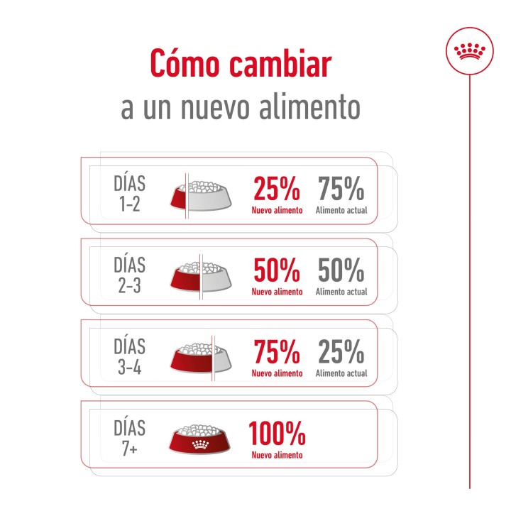 Royal Canin X-Small Ageing +12 Pienso para perros - Kompymascotas
